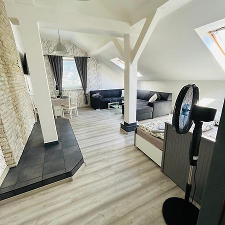 Apartman Theresa Decin Esterno foto